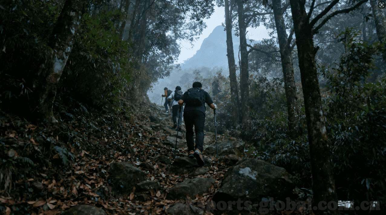 世界杯让胜什么时候-世界杯让胜时刻,激情与梦想的碰撞
